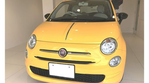 500 1.2 Mimosa(限定車)