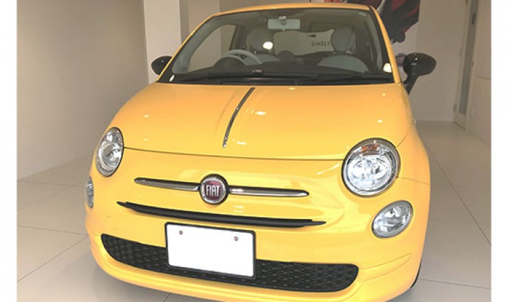 500 1.2 Mimosa(限定車)